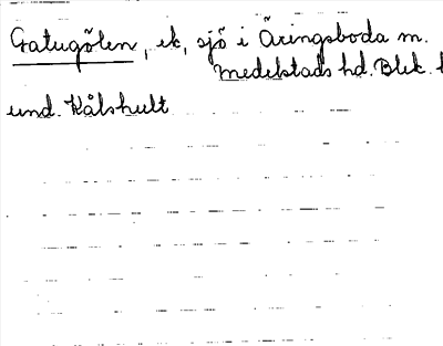 Bild på arkivkortet för arkivposten Gatugölen