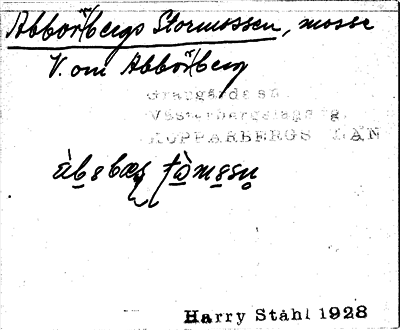 Bild på arkivkortet för arkivposten Abborrbergs Stormossen
