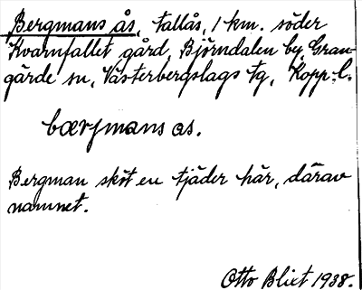 Bild på arkivkortet för arkivposten Bergmans ås