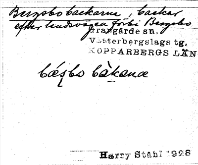 Bild på arkivkortet för arkivposten Bergsbobackarna