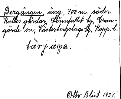 Bild på arkivkortet för arkivposten Bergängen