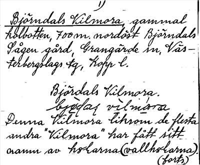 Bild på arkivkortet för arkivposten Björndals Vilmora