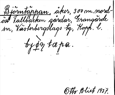 Bild på arkivkortet för arkivposten Björntäppan
