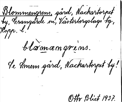 Bild på arkivkortet för arkivposten Blommengrens