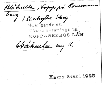 Bild på arkivkortet för arkivposten Blåkulla