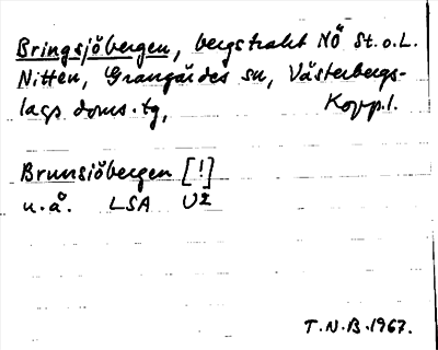 Bild på arkivkortet för arkivposten Bringsjöbergen