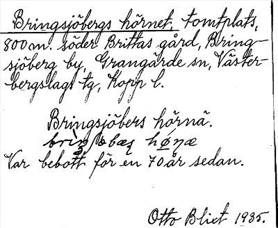 Bild på arkivkortet för arkivposten Bringsjöbergs hörnet