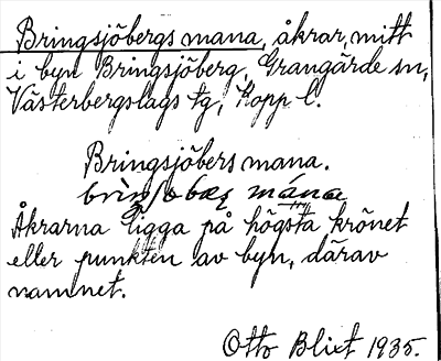 Bild på arkivkortet för arkivposten Bringsjöbergs mana