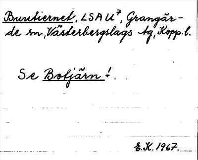 Bild på arkivkortet för arkivposten Buutiernet se Botjärn