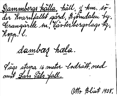 Bild på arkivkortet för arkivposten Dammbergs hälla