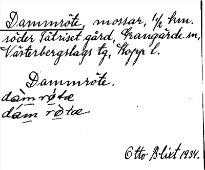 Bild på arkivkortet för arkivposten Dammröte
