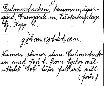 Bild på arkivkortet för arkivposten Gulmossbacken
