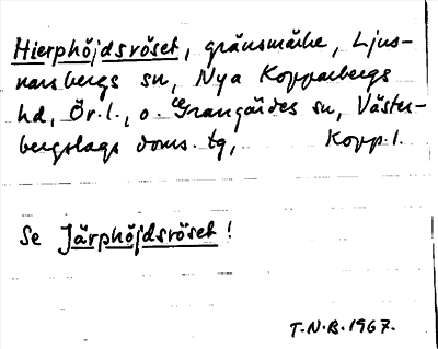 Bild på arkivkortet för arkivposten Hierphöjdsröset se Järphöjdsröset
