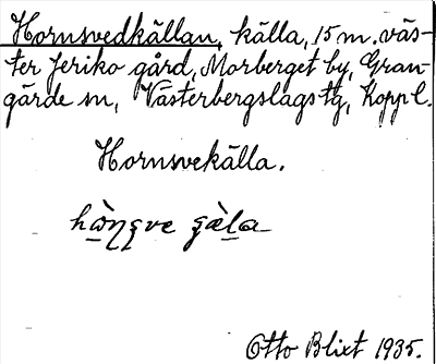 Bild på arkivkortet för arkivposten Hornsvedkällan