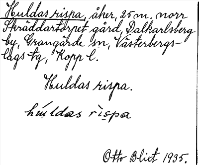 Bild på arkivkortet för arkivposten Huldas rispa
