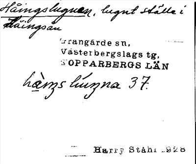 Bild på arkivkortet för arkivposten Håingslugnen