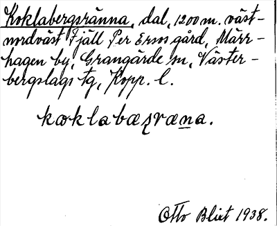 Bild på arkivkortet för arkivposten Koklabergsränna