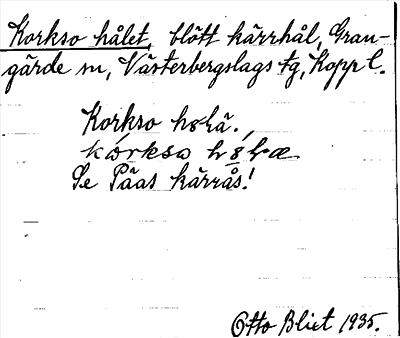 Bild på arkivkortet för arkivposten Korkso hålet