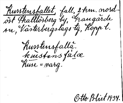 Bild på arkivkortet för arkivposten Kusstensfallet