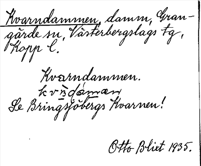 Bild på arkivkortet för arkivposten Kvarndammen, se Bringsjöbergs Kvarnen