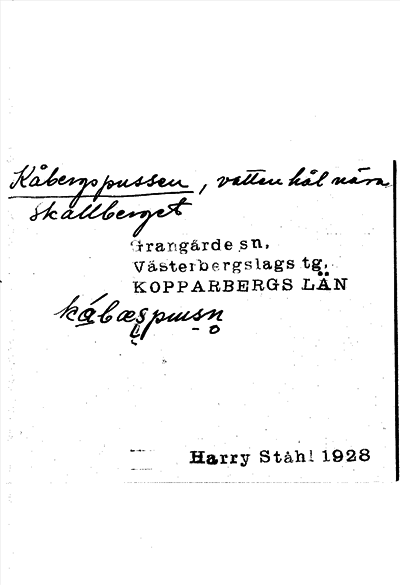 Bild på arkivkortet för arkivposten Kåbergspussen
