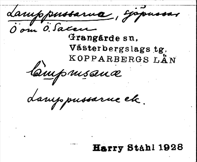 Bild på arkivkortet för arkivposten Lamppussarna