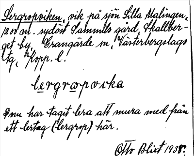 Bild på arkivkortet för arkivposten Lergropviken