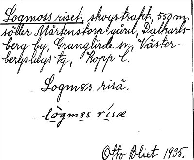 Bild på arkivkortet för arkivposten Logmoss riset