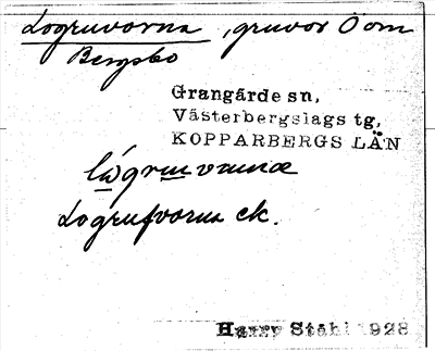 Bild på arkivkortet för arkivposten Logruvorna