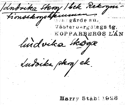 Bild på arkivkortet för arkivposten Ludvika skog