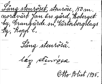 Bild på arkivkortet för arkivposten Lång stenröset