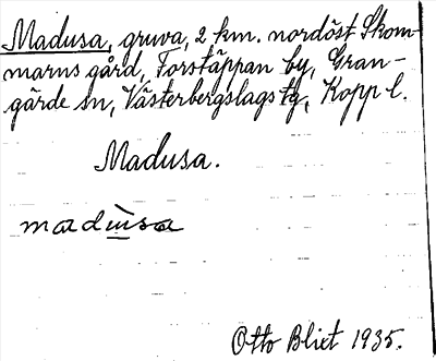 Bild på arkivkortet för arkivposten Madusa