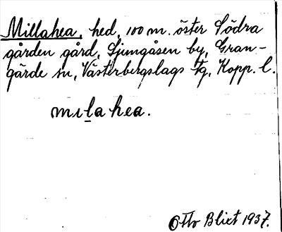 Bild på arkivkortet för arkivposten Millahea