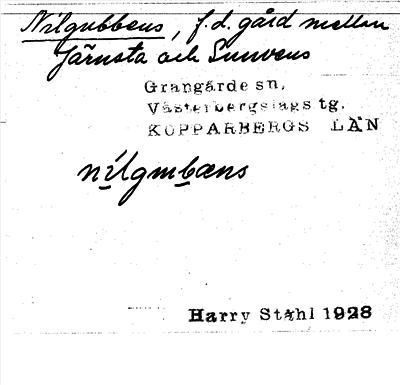 Bild på arkivkortet för arkivposten Nilgubbens