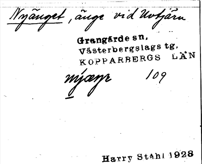 Bild på arkivkortet för arkivposten Nyänget