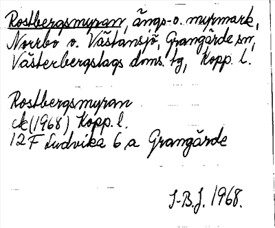 Bild på arkivkortet för arkivposten Rostbergsmyran