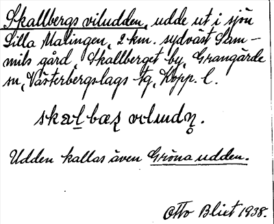 Bild på arkivkortet för arkivposten Skallbergs viludden