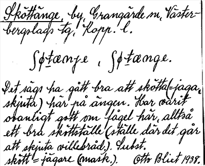 Bild på arkivkortet för arkivposten Sköttänge