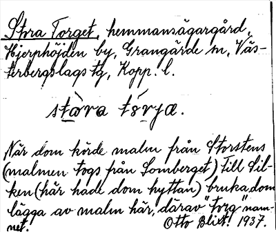 Bild på arkivkortet för arkivposten Stora Torget