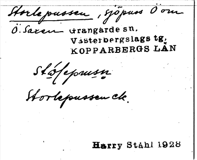 Bild på arkivkortet för arkivposten Storlepussen