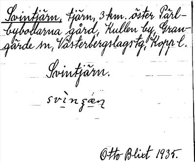 Bild på arkivkortet för arkivposten Svintjärn