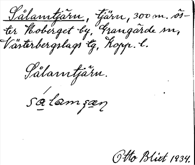 Bild på arkivkortet för arkivposten Sålamtjärn