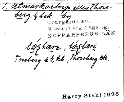 Bild på arkivkortet för arkivposten Utmarkartorp eller Thorsberg