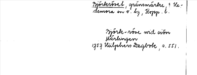 Bild på arkivkortet för arkivposten Björkröset