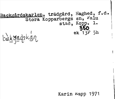 Bild på arkivkortet för arkivposten Backgårdskarlen