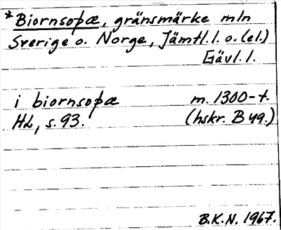Bild på arkivkortet för arkivposten *Biornsoþæ