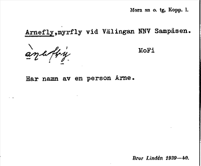 Bild på arkivkortet för arkivposten Arnefly