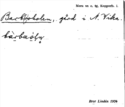 Bild på arkivkortet för arkivposten Barb(r)oholen