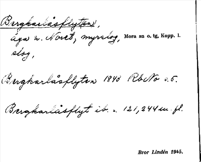 Bild på arkivkortet för arkivposten Bergkarlåsflyt(en)