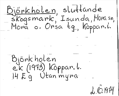 Bild på arkivkortet för arkivposten Björkholen